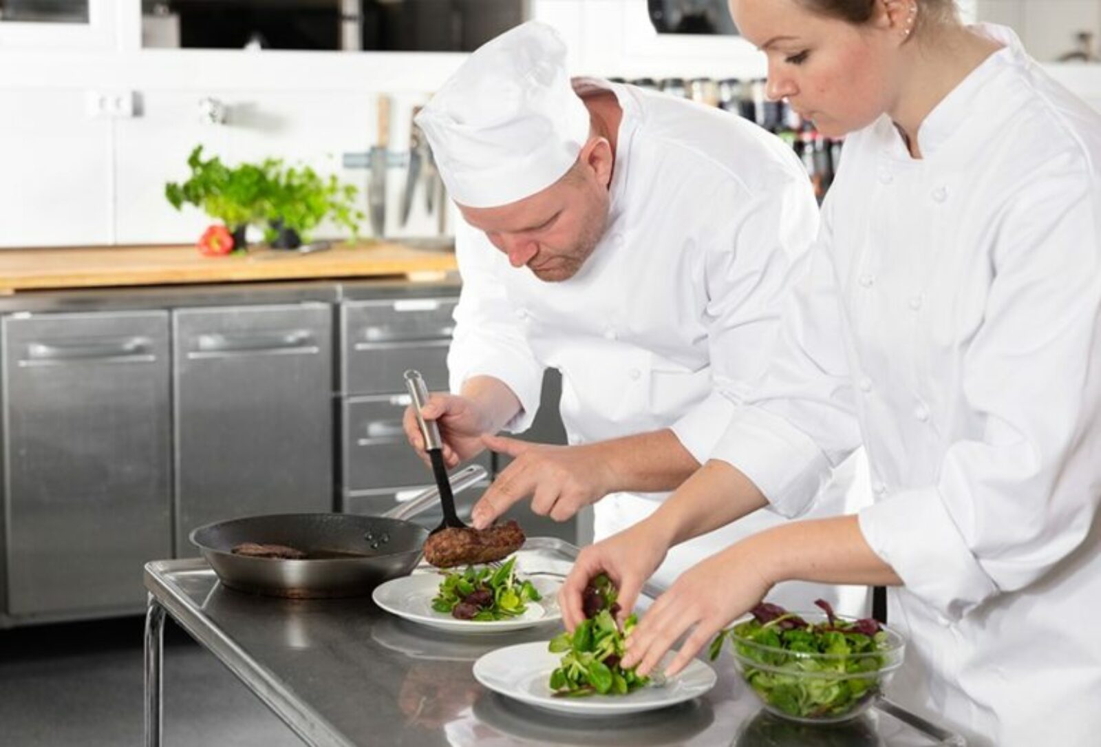 Why should you study Certificate III in Commercial Cookery